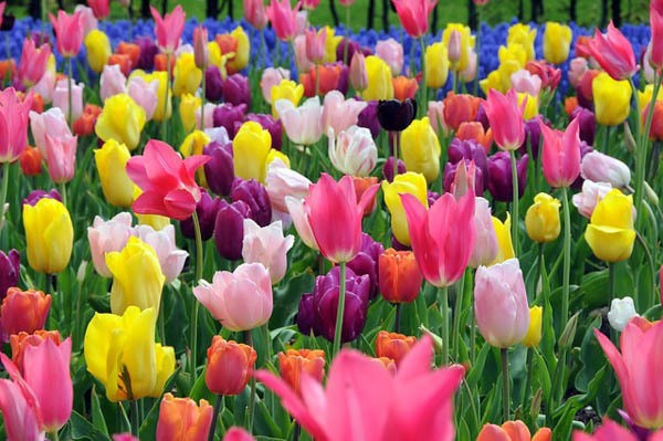 Spring ACS National Meeting